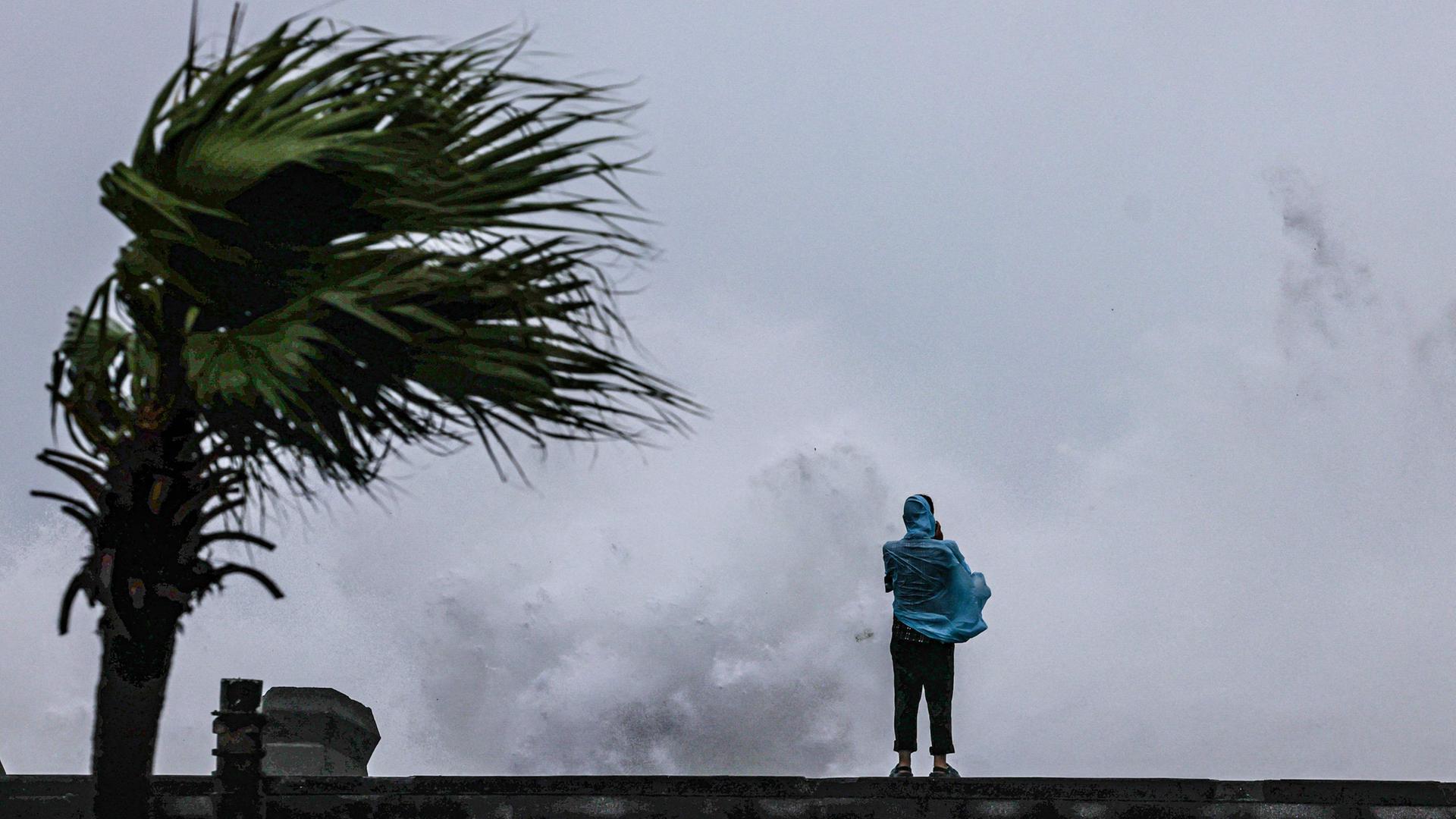Ein Mensch schaut in die hohen Wellen, die in Taiwan auf die Küste treffen. | AFP