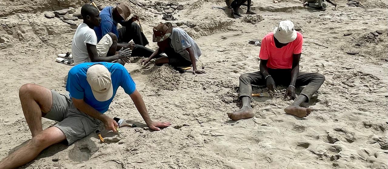 Archäologen bei einer Ausgrabung | Neil Roach Archäologen bei einer Ausgrabung
