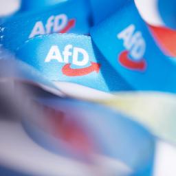Das AfD-Logo ist auf Bändern zu sehen.