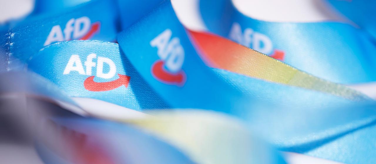 Das AfD-Logo ist auf Bändern zu sehen.