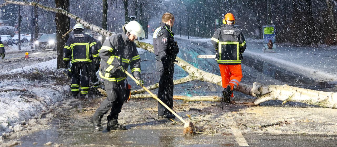 Feuerwehrleute in Hamburg räumen einen umgestürzten Baum vond er Straße