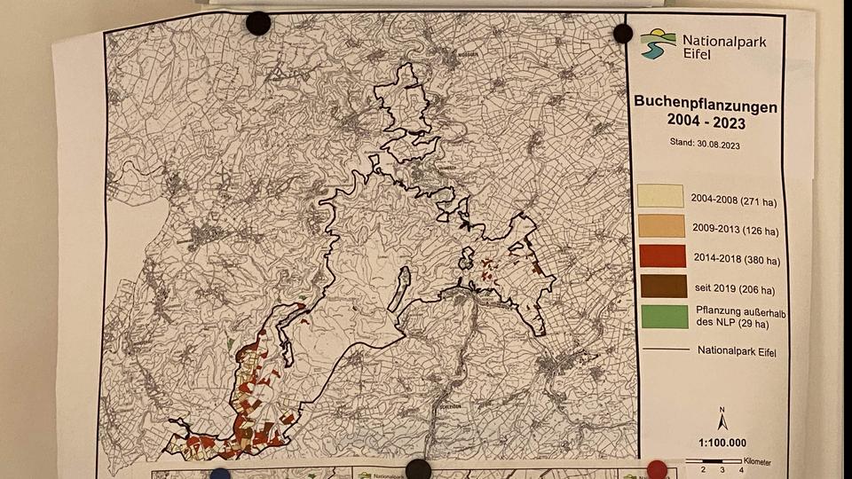 Eine Karte des Nationalparks Eifel. Im Südwesten des Nationalparks sind Buchenpflanzungen von 2004  bis 2023 eingezeichnet.