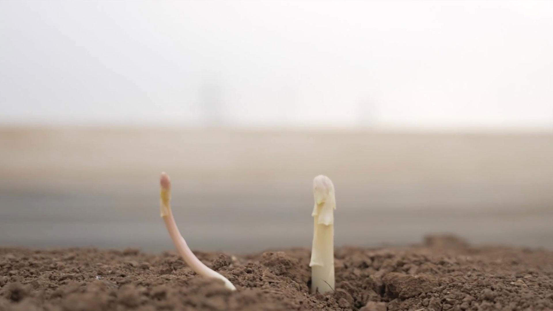 Sendungsbild | ARD-aktuell