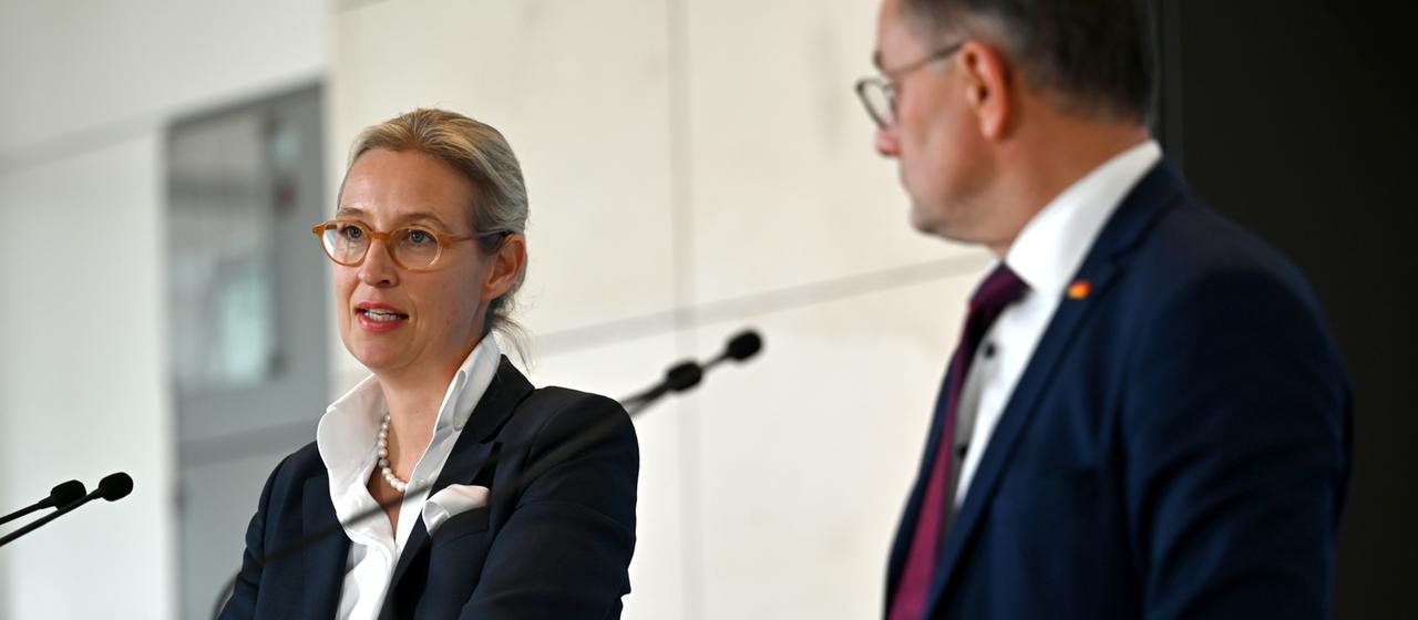 So bringen Trumps Zölle die AfD in ein Dilemma | tagesschau.de