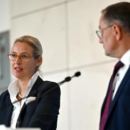 Alice Weidel und Tino Chrupalla
