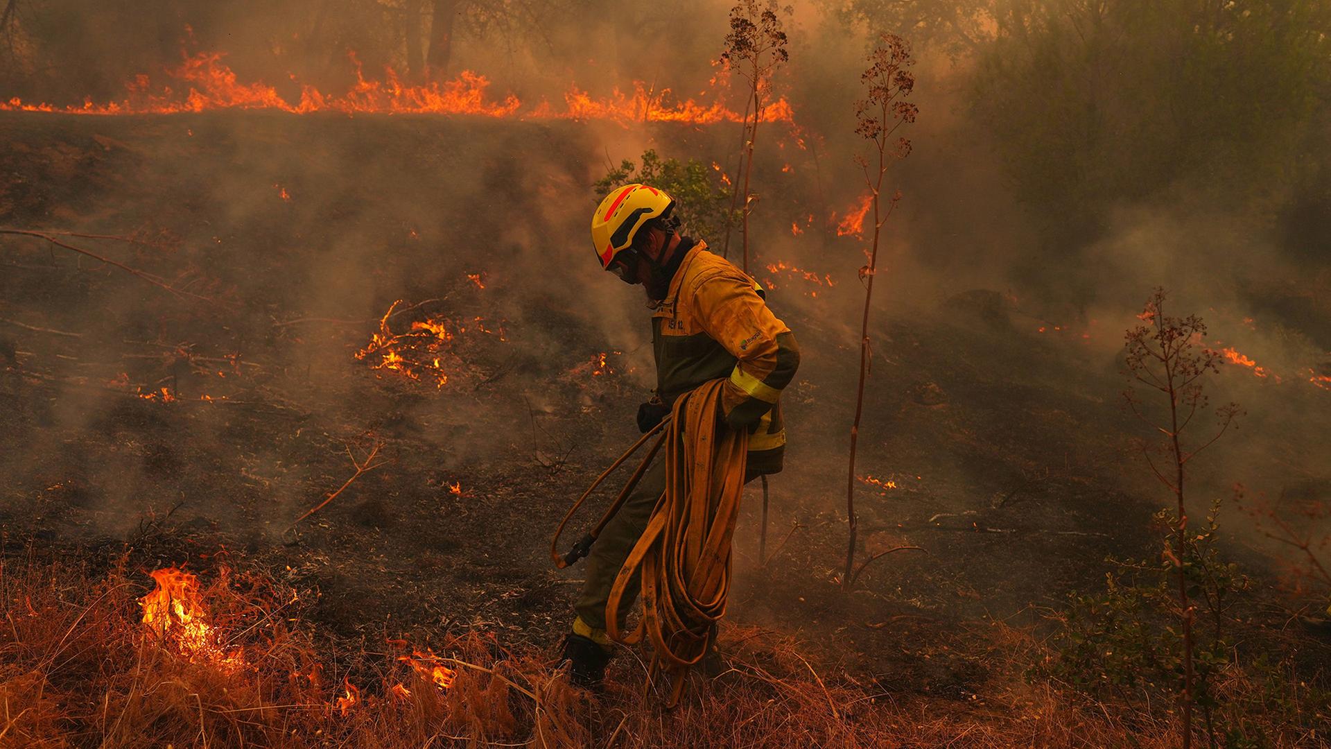 Ein Feuerwehrmann bei einem Waldbrand in Spanien | Manu Fernandez/AP/dpa