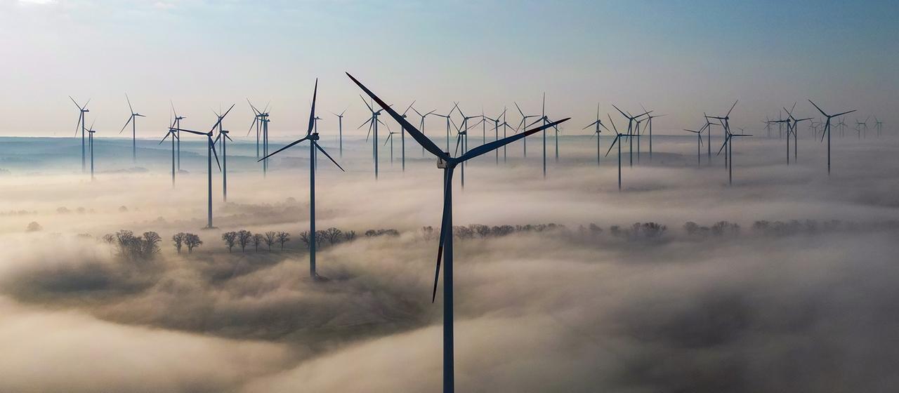 Die Morgensonne scheint über einem Windenergiepark im östlichen Brandenburg.