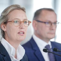 Alice Weidel und Tino Chrupalla