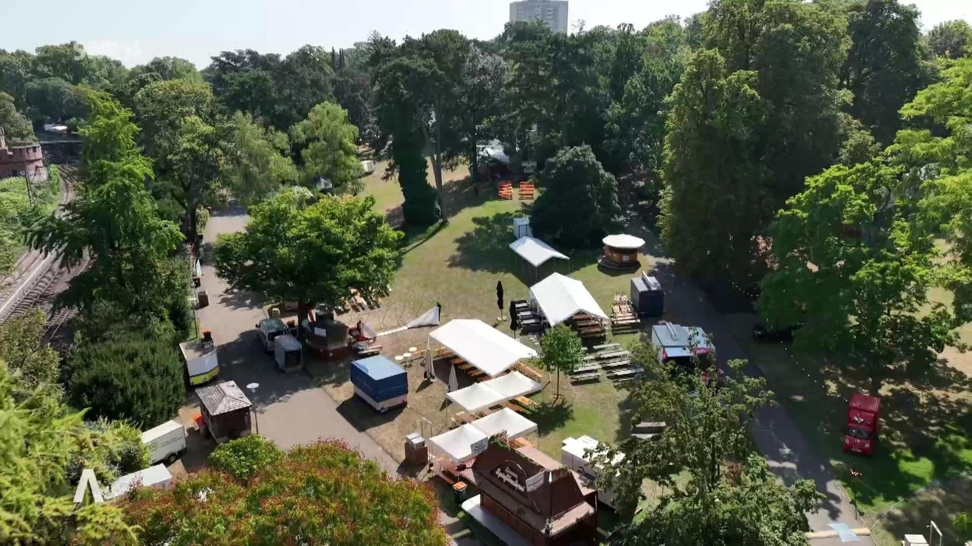 Mainzer Weinmarkt: Hier geht es für Winzer um mehr als nur Wein