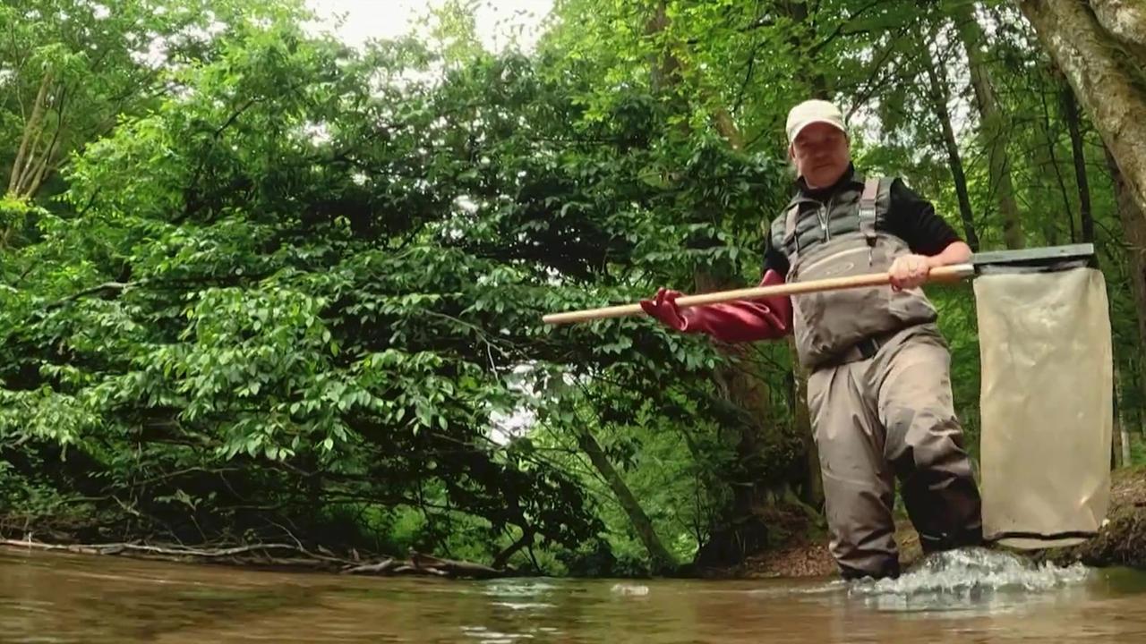 Projekt in Süddeutschland zu Folgen des Klimawandels auf deutsche Bäche