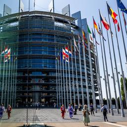 Fahnen europäischer Staaten wehen vor dem Europäischen Parlament in Straßburg.