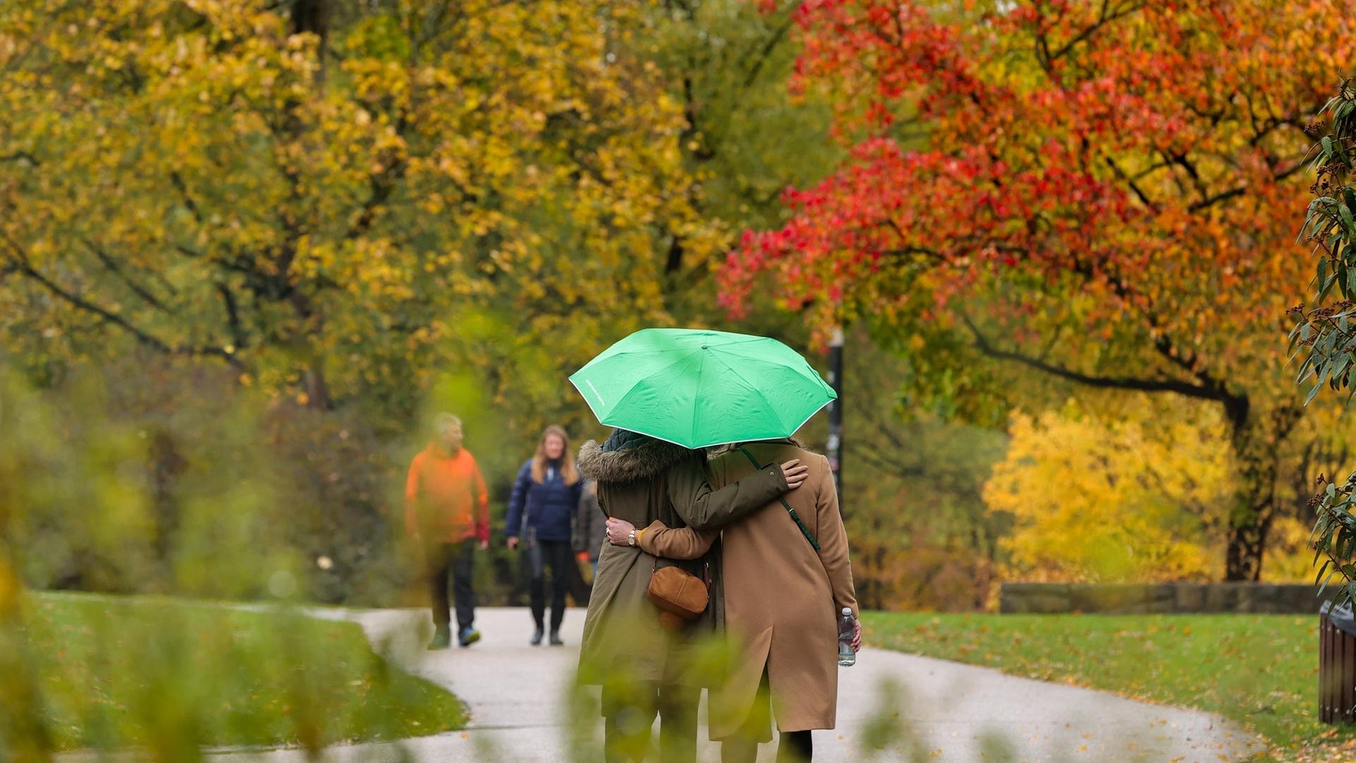 Passanten gehen bei regnerischem Wetter im Park spazieren. | dpa Bildfunk, Ulrich Perrey