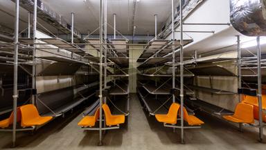 Blick in einen Bunkerraum in Nürnberg mit Etagenbetten und Sitzen.