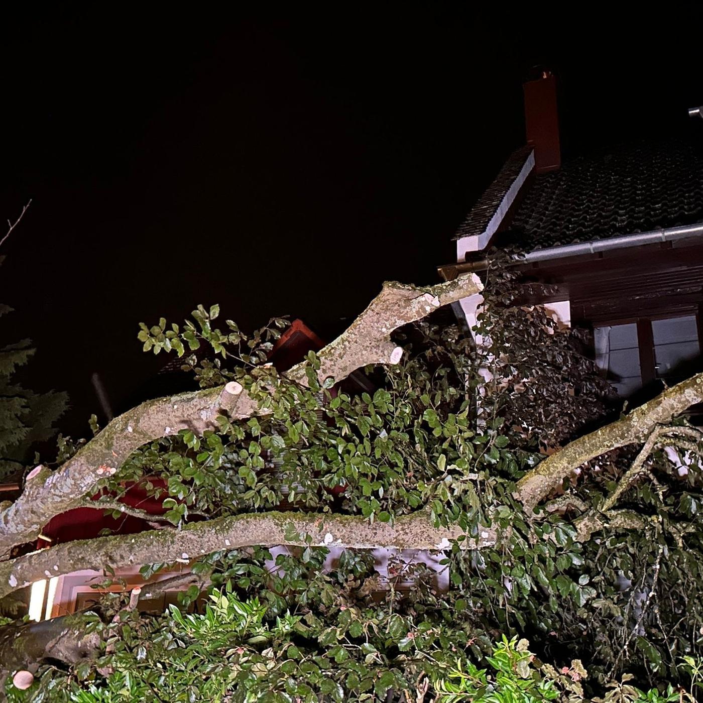 Bayern: Unwetter in Bayern: Viele Einsätze, längere Bahnausfälle |  tagesschau.de