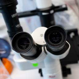 Ein Mikroskop ist in einem Labor zu sehen