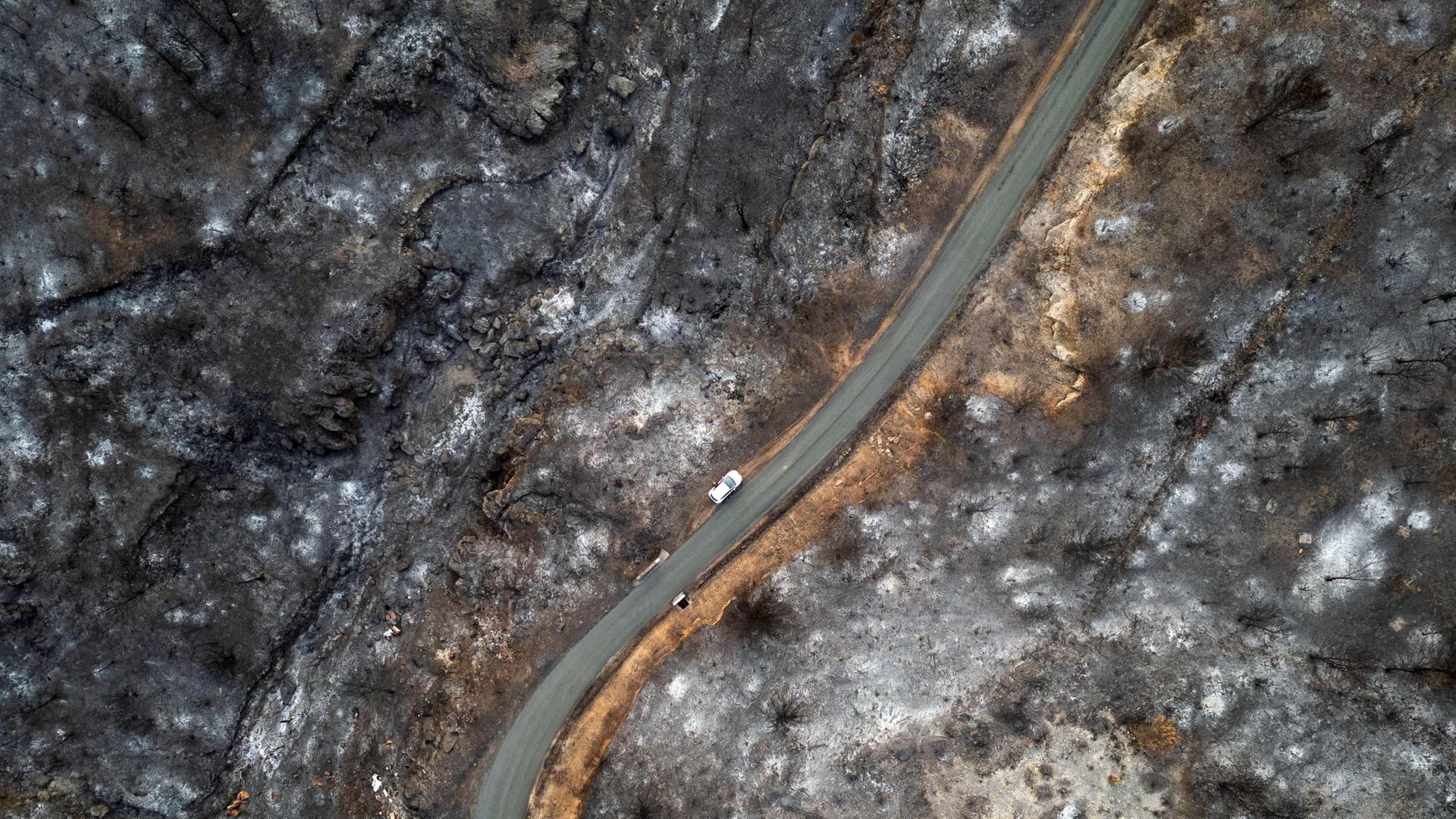 Eine Straße, die durch verbranntes Land nach einem Waldbrand im südfranzösischen Aude führt | dpa