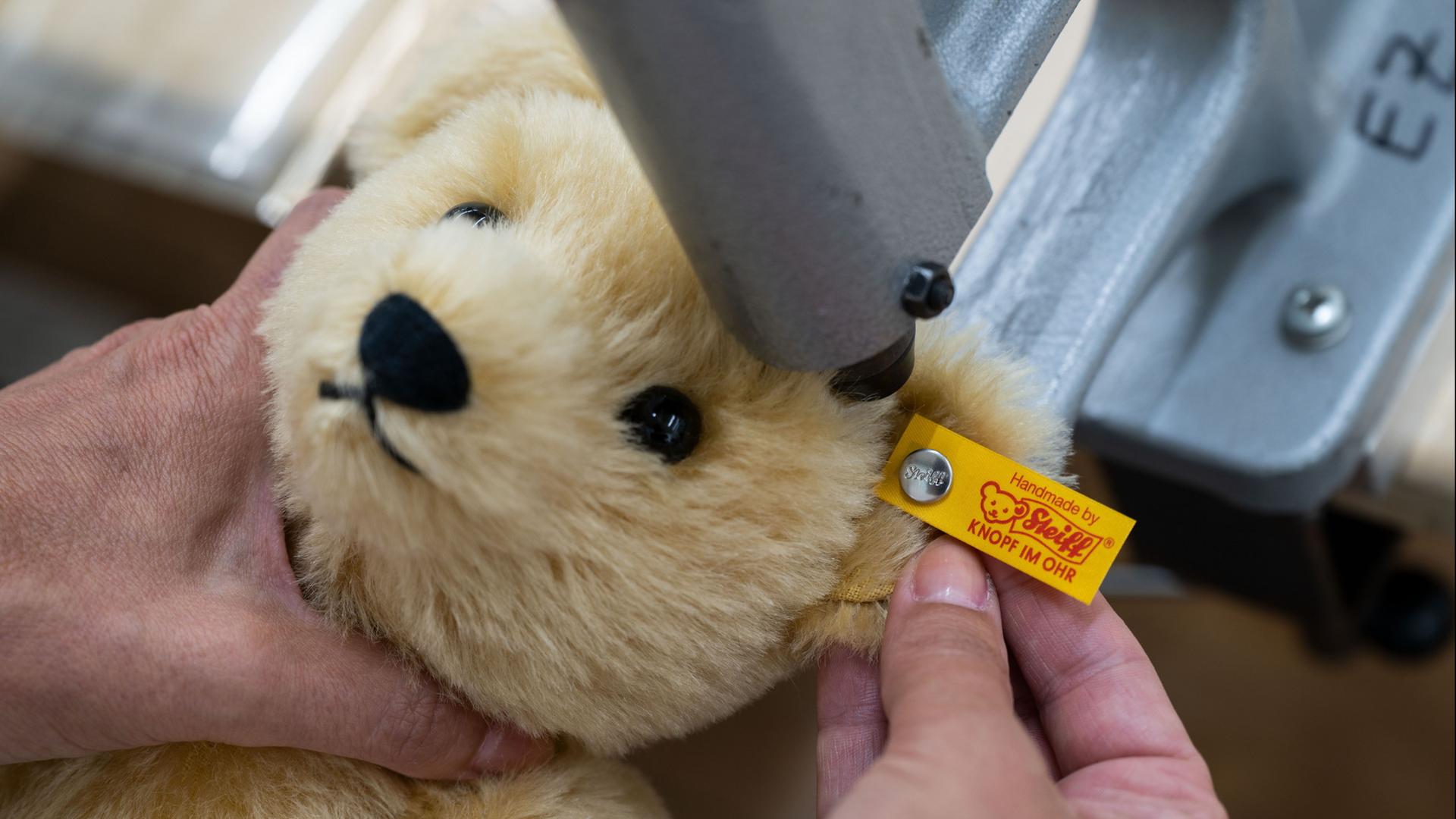 Ein Plüsch-Teddy der Firma Steiff wird genäht. | dpa