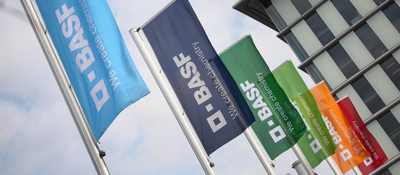 Basf News : ce qu'il faut savoir — image 6
