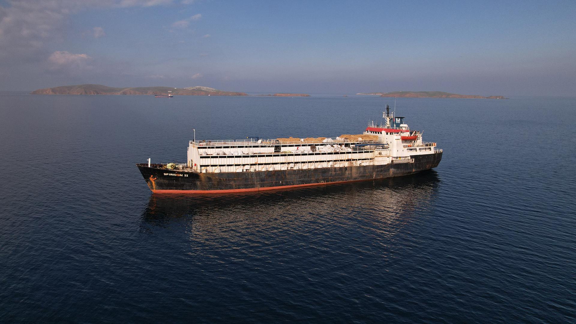 Viehtransportschiff Spiridon II vor der türkische Küste | Animal Welfare Foundation (AWF)/dpa
