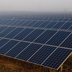 Symbolbild: Ein Solarpark in Brandenburg am 25.10.2024. (Quelle: picture alliance/Rainer Keuenhof)