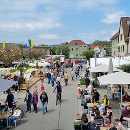 Menschen halten sich auf einer für den Autoverkehr gesperrten Straße auf.