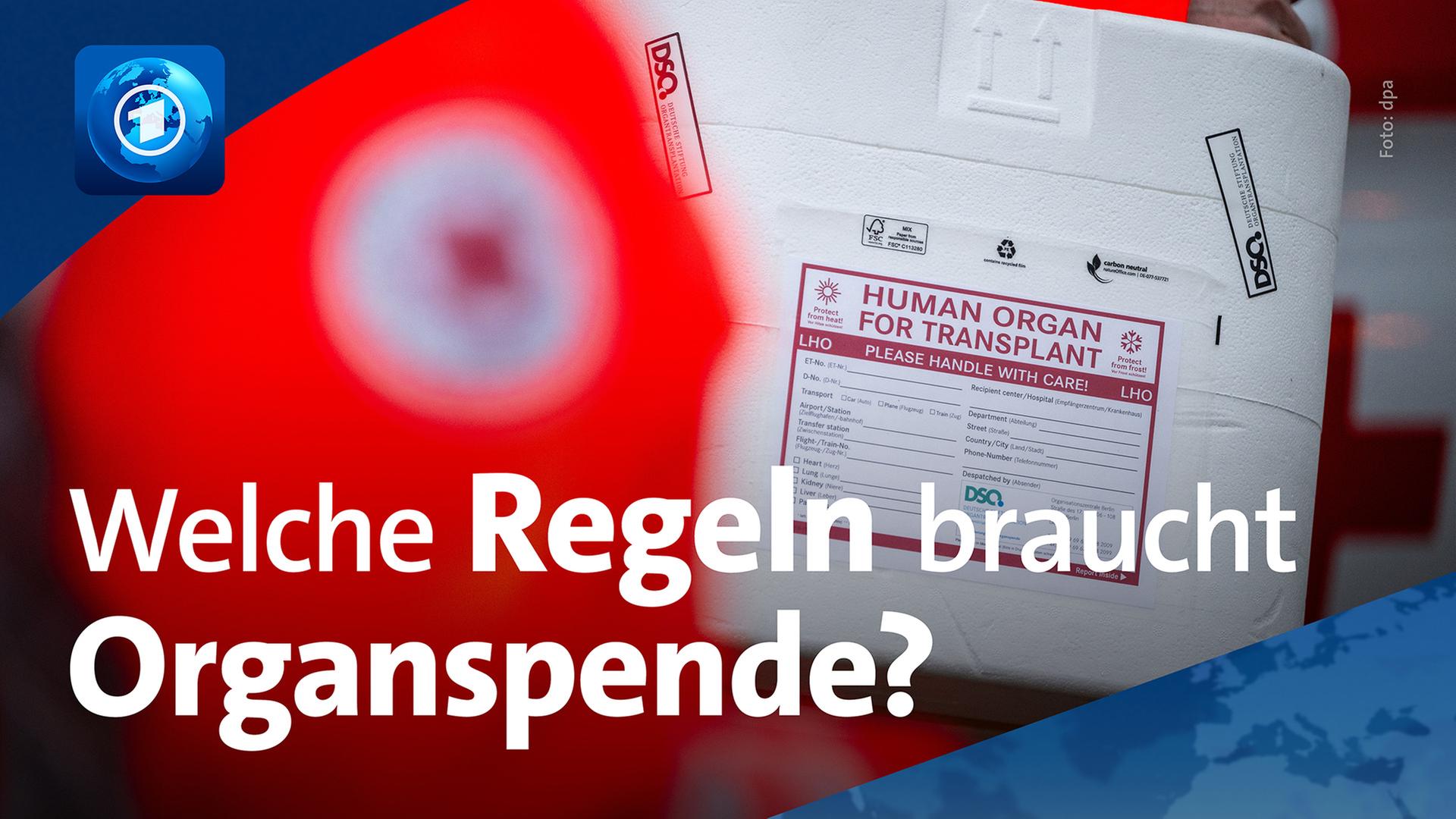 Organspende-Transportbox | dpa/ARD-aktuell