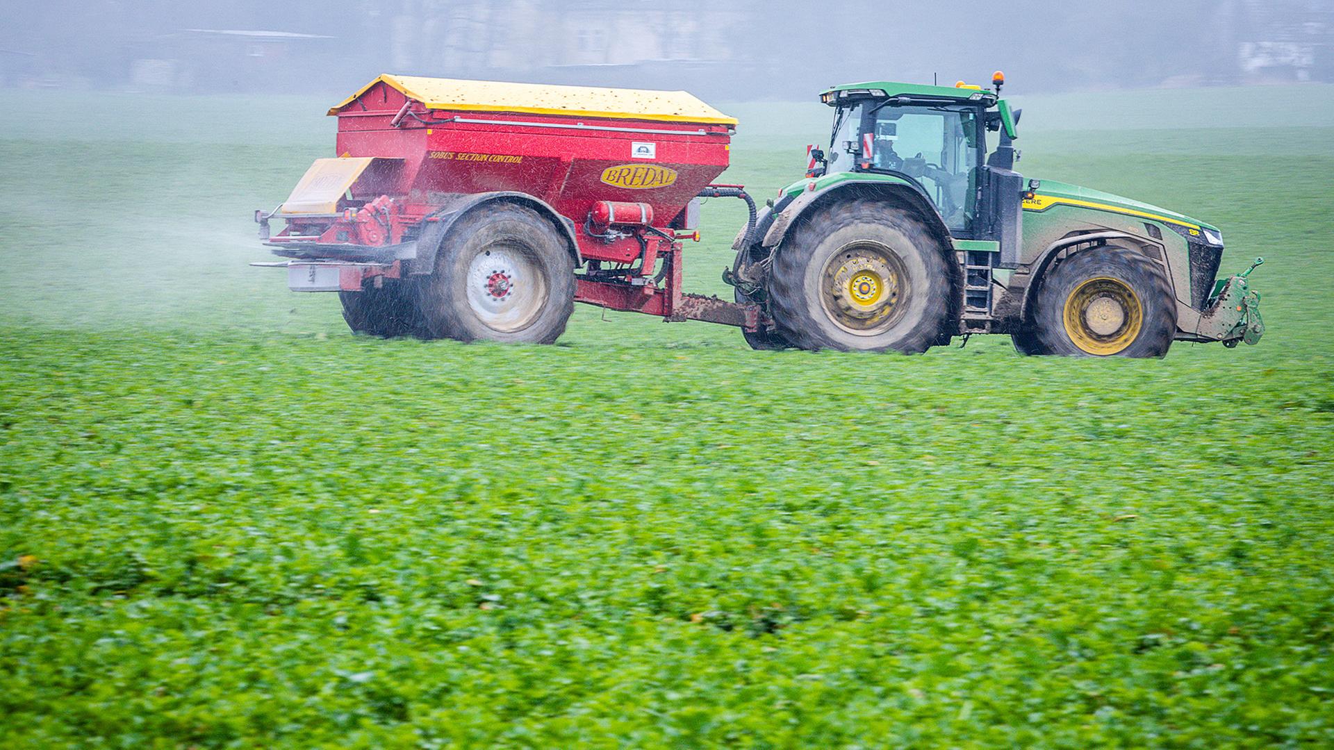 dünger italienisch RASENDÜNGER FÜR BERMUDAGRAS main image 1