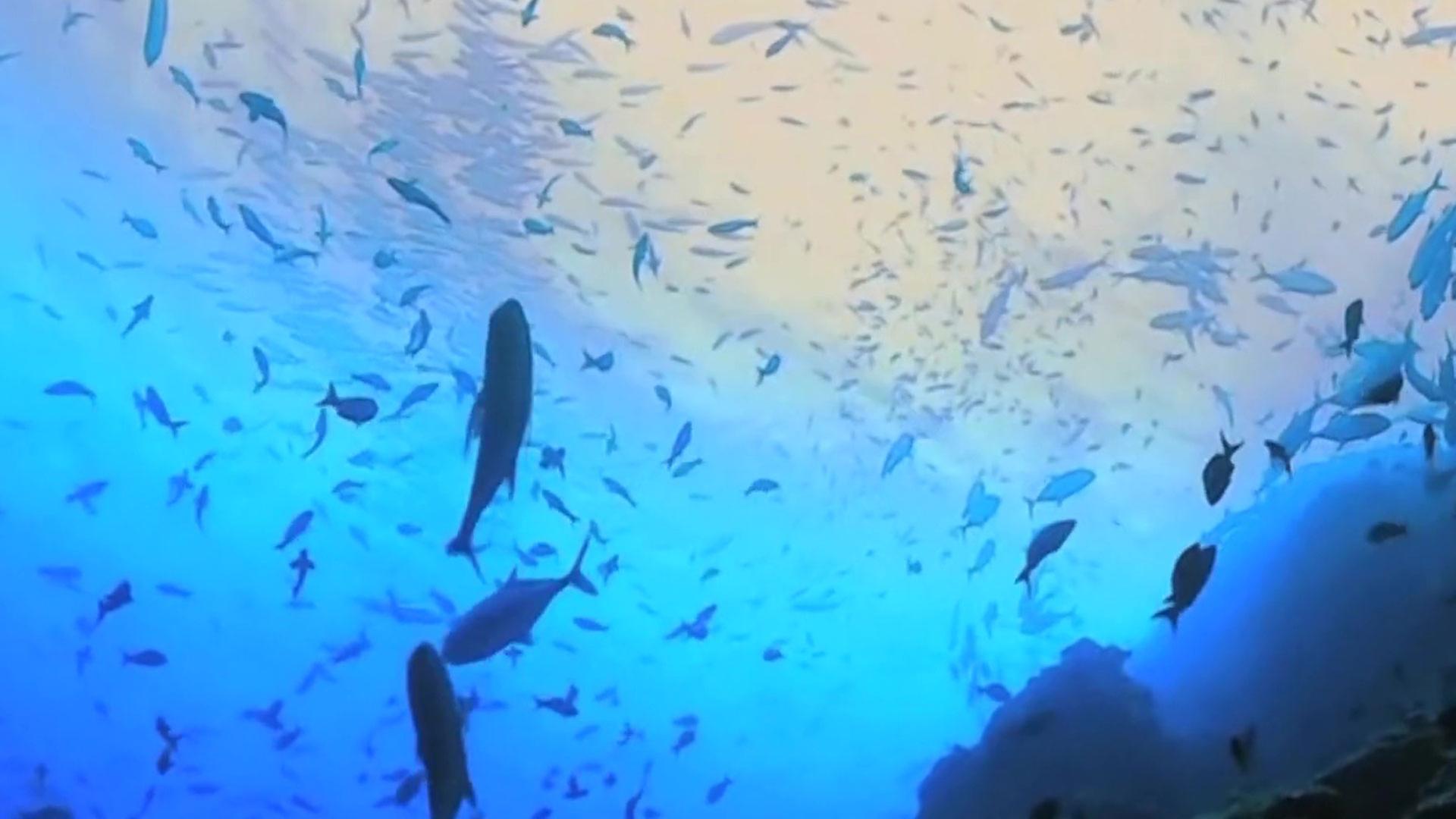 Sendungsbild | ARD-aktuell