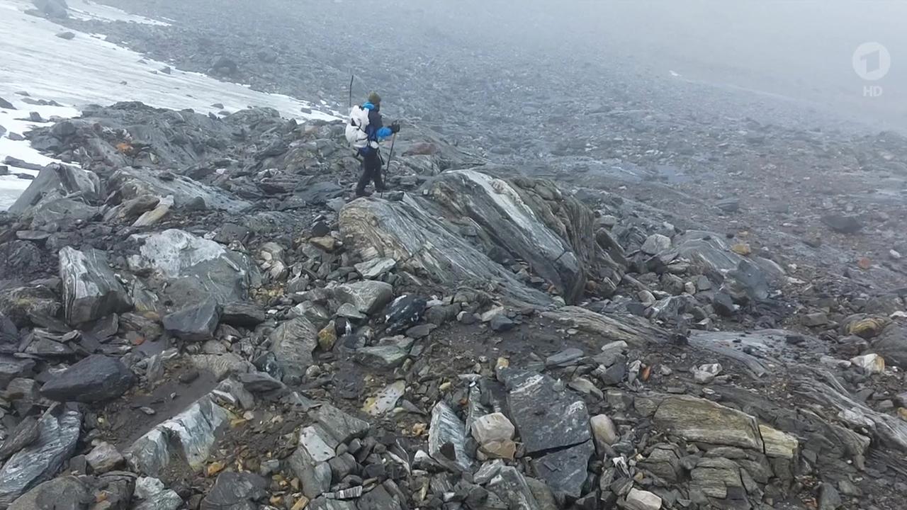 Gletscherschmelze in Norwegen hilft Archäologen bei der Forschung, Die Sahara soll wieder grün werden