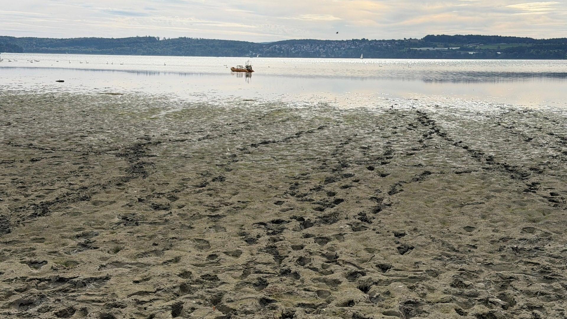 Fußspuren im Bodenseeschlamm bei Uhldingen-Mühlhofen (Bodenseekreis). | SWR, Rebecca Lüer