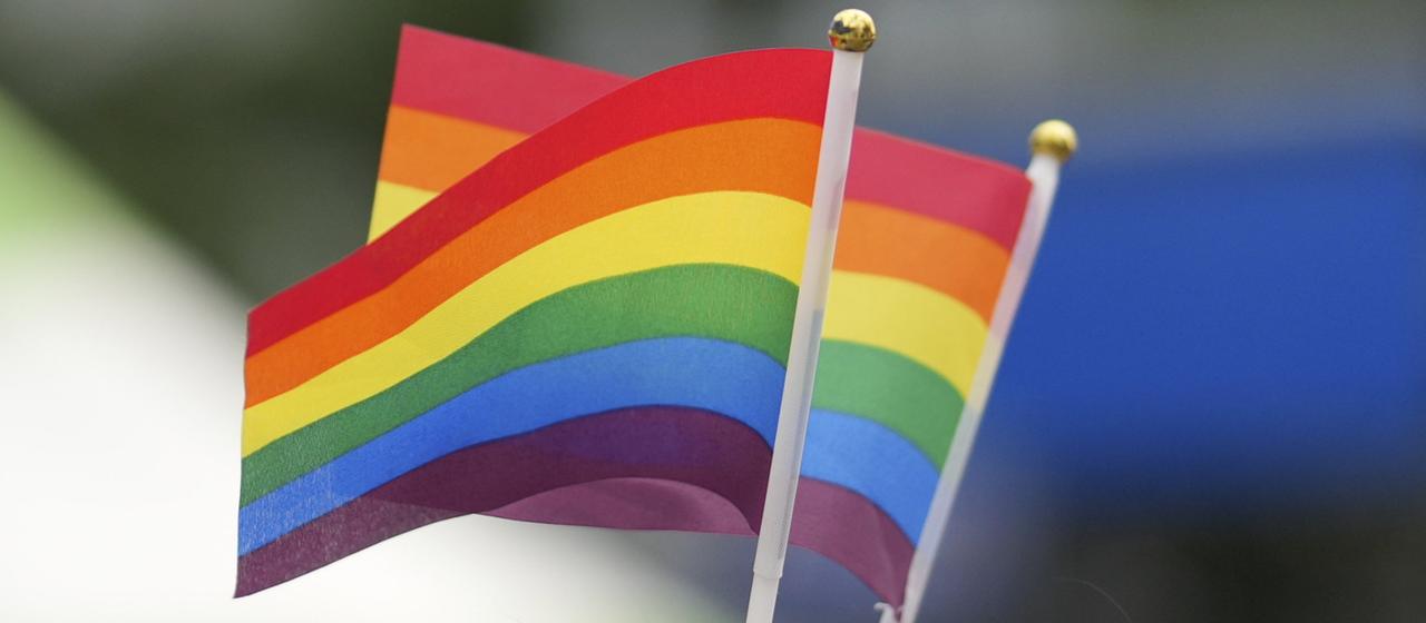Zwei Regenbogenfähnchen.