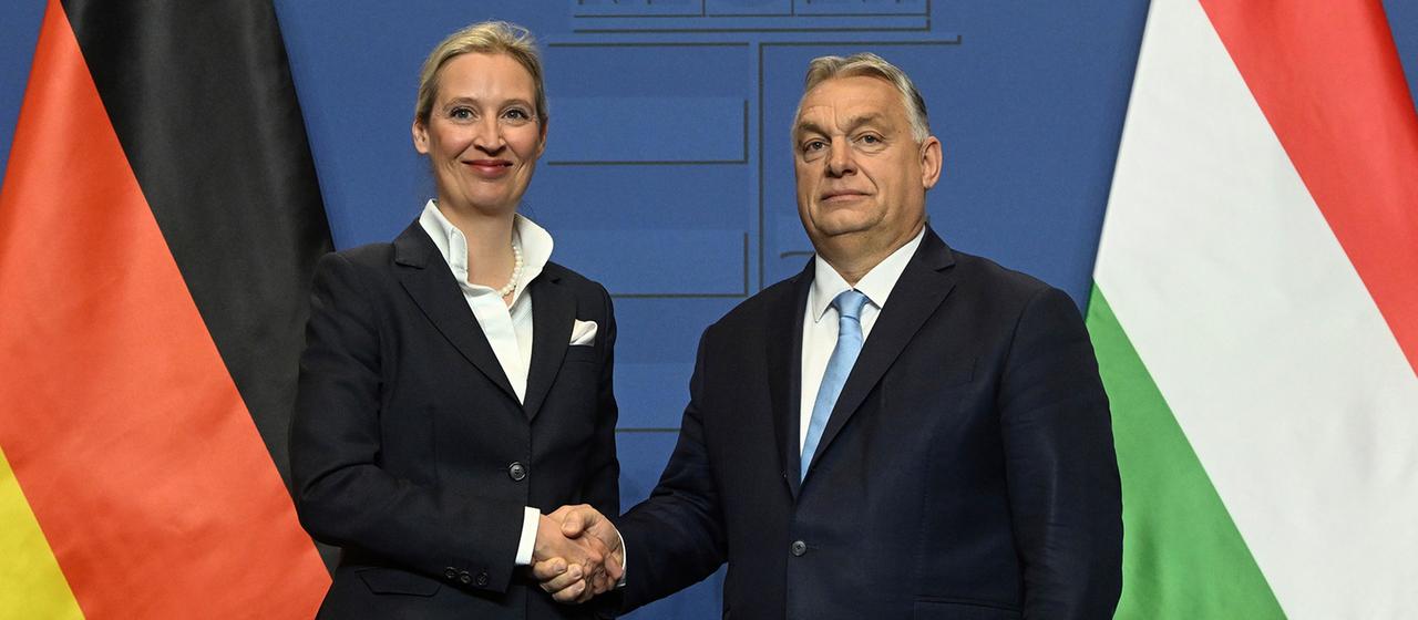 Was die Ungarn-Wahl für die AfD bedeutet