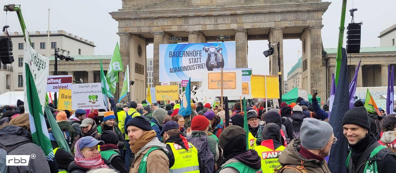Wir haben es satt- Demonstratin am 17.01.2026 in Berlin. (Quelle: privat)