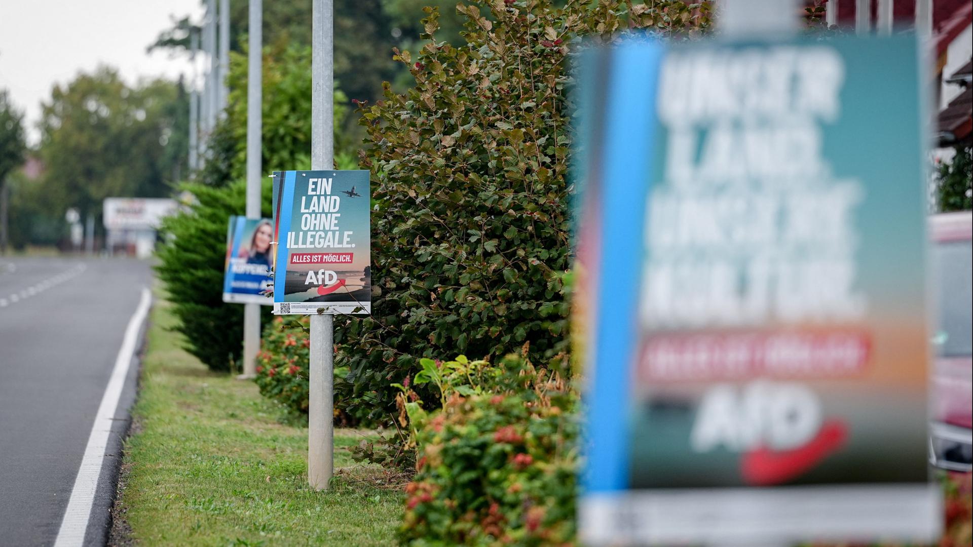 AfD in Sachsen-Anhalt kündigt migrationspolitische Kehrtwende an