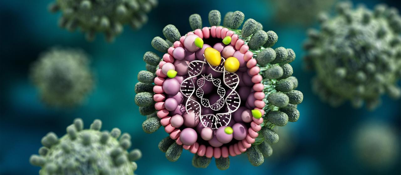 Mehr als 70.000 potenziell neue RNA-Viren mit KI entdeckt | tagesschau.de