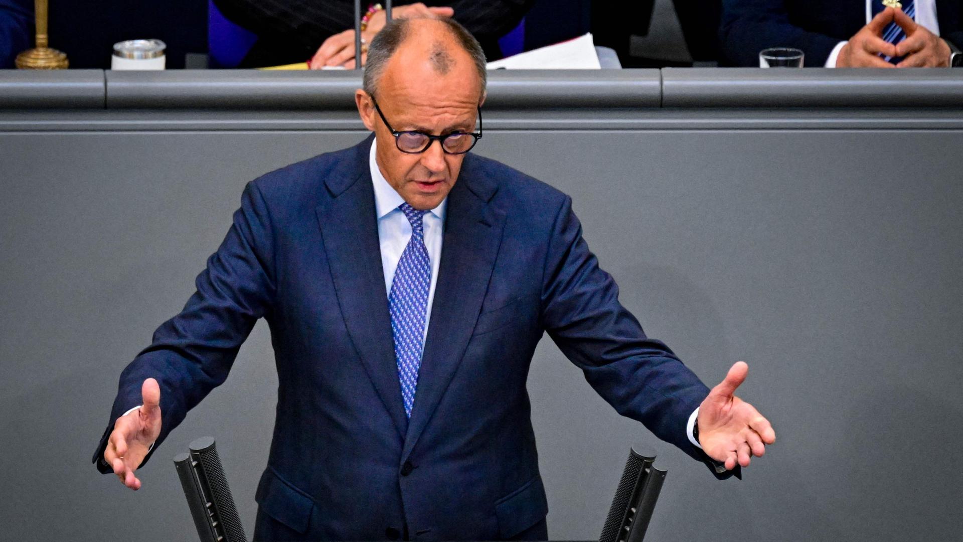 Friedrich Merz | AFP