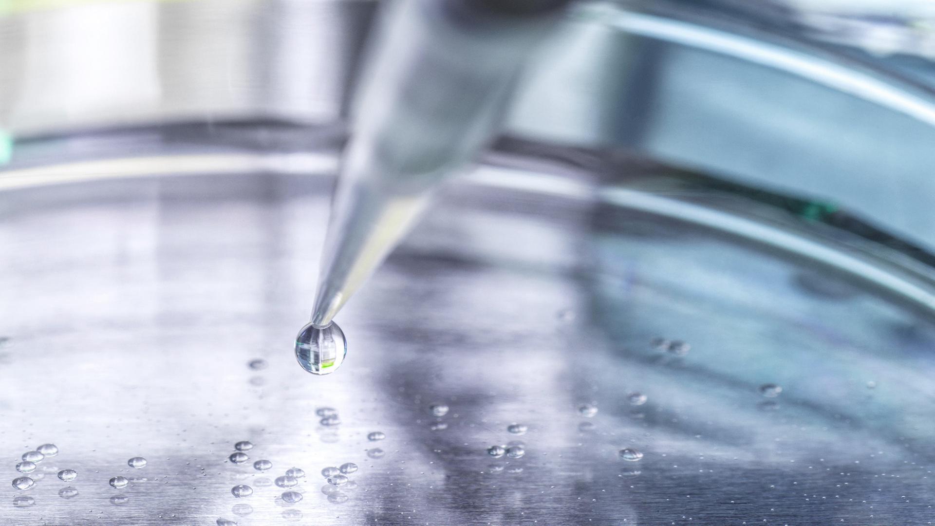 Ein Tropfen wird aus einer Pipette in eine Petrischale gertröpfelt. | picture alliance / Westend61
