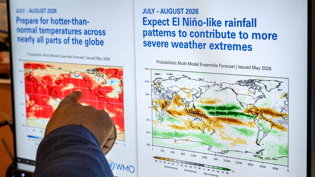 El Niño und Waldbrände: Warum die Feuergefahr steigt