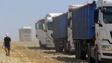 Lastwagen transportieren bei Odessa (Ukraine) geernteten Weizen ab.
