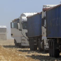 Lastwagen transportieren bei Odessa (Ukraine) geernteten Weizen ab.