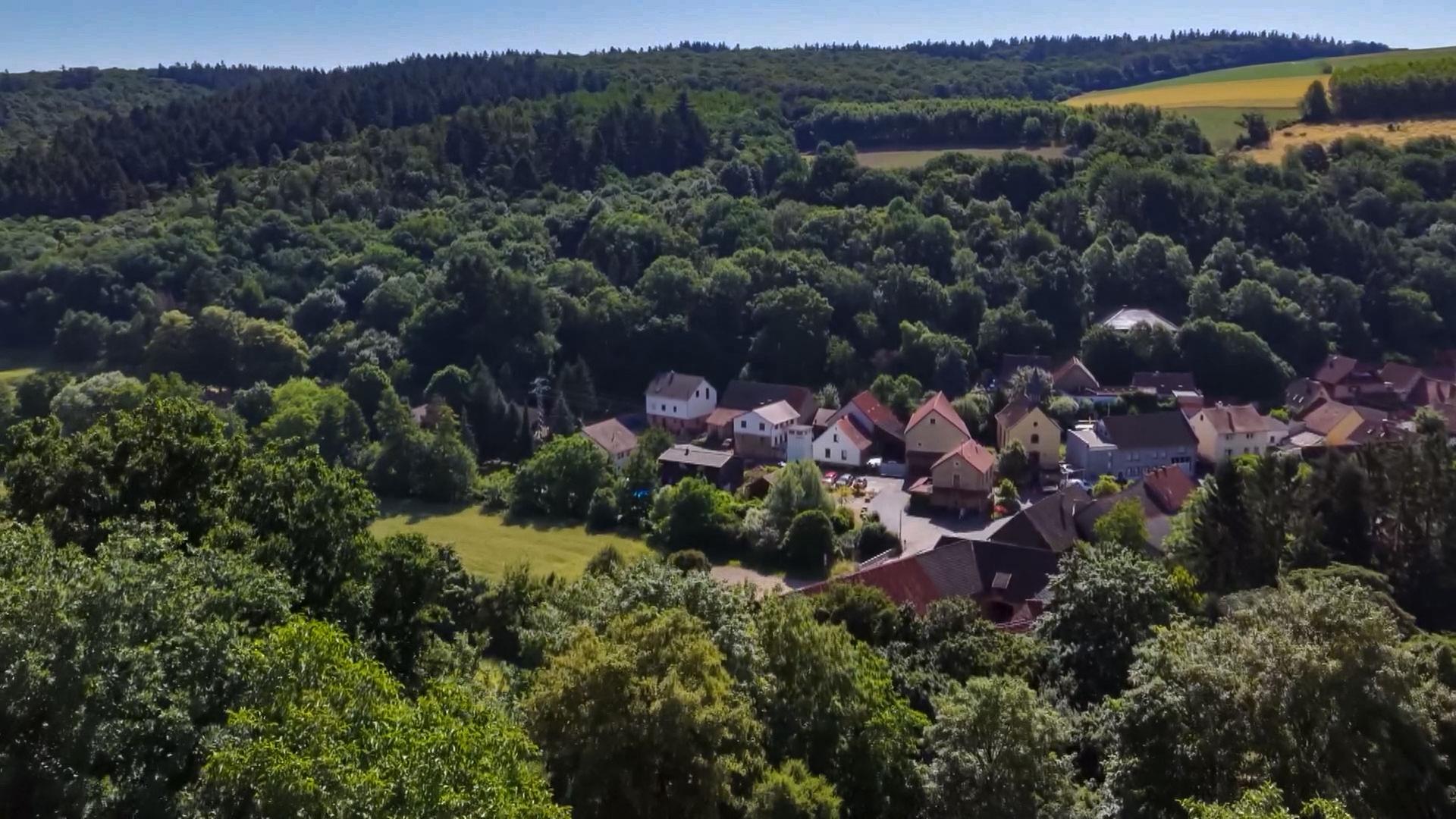 Tiefenthal in Rheinhessen | SWR