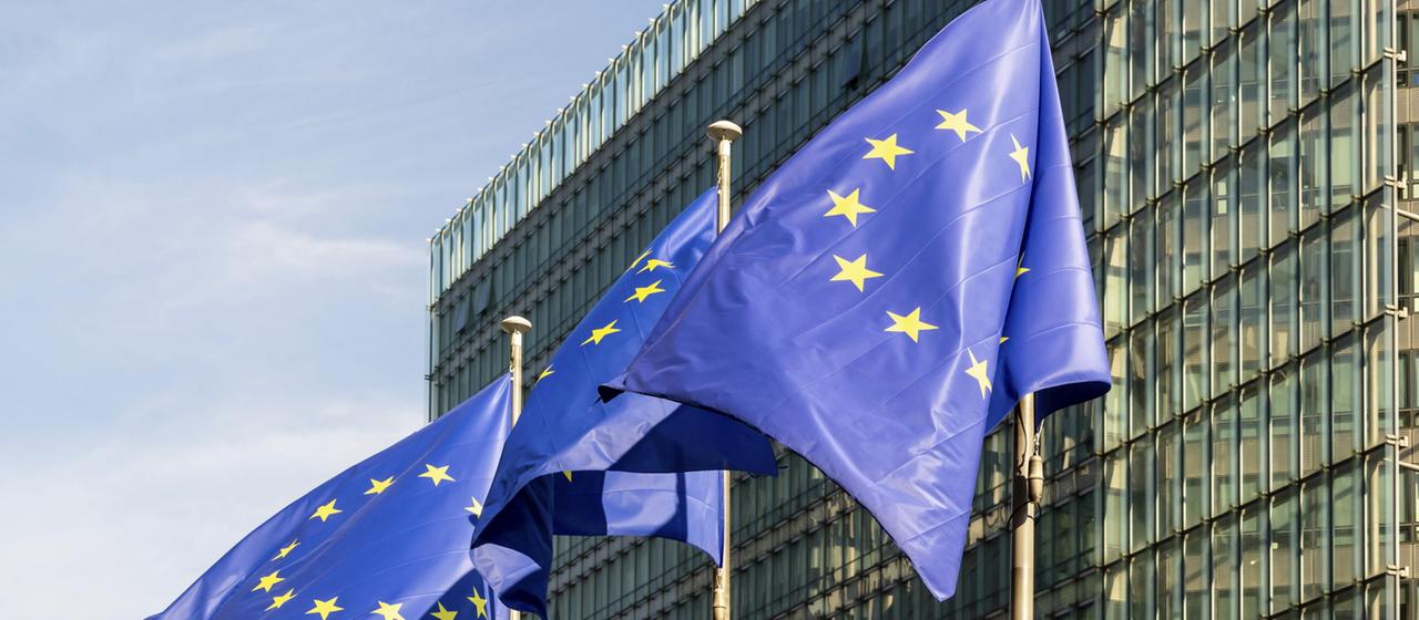 Die Flaggen der Europäischen Union flattern im Wind.