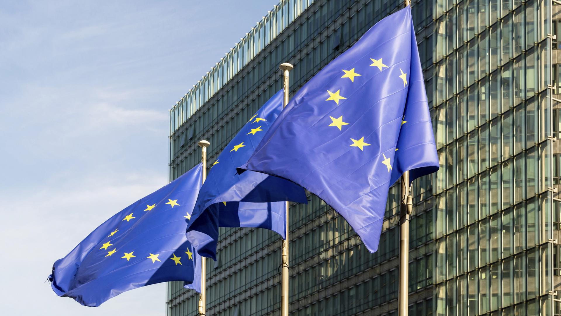 Die Flaggen der Europäischen Union flattern im Wind. | dpa