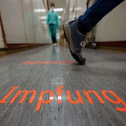 Impf-Friedhof: Was Das Volk, Die Sachverständigen Und Die Regierungen Vom „Segen Der Impfung" Wissen. Erstmalig In Lateinischer Schrift. : Wegener, Hugo, Borin, Yean - Foto 3