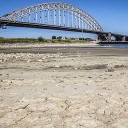 Ein Schiff fährt unter der Waalbrücke im niederländischen Nijmegen hindurch. Der Fluss führt wegen der Trockenheit nur noch wenig Wasser.