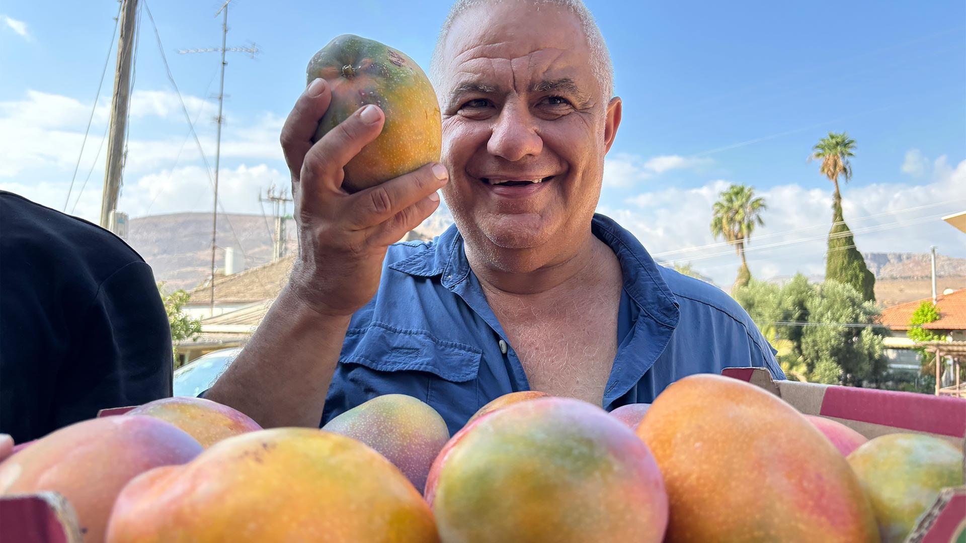 Mangobauer in Israel. | tagesschau / Redaktion Tel Aviv