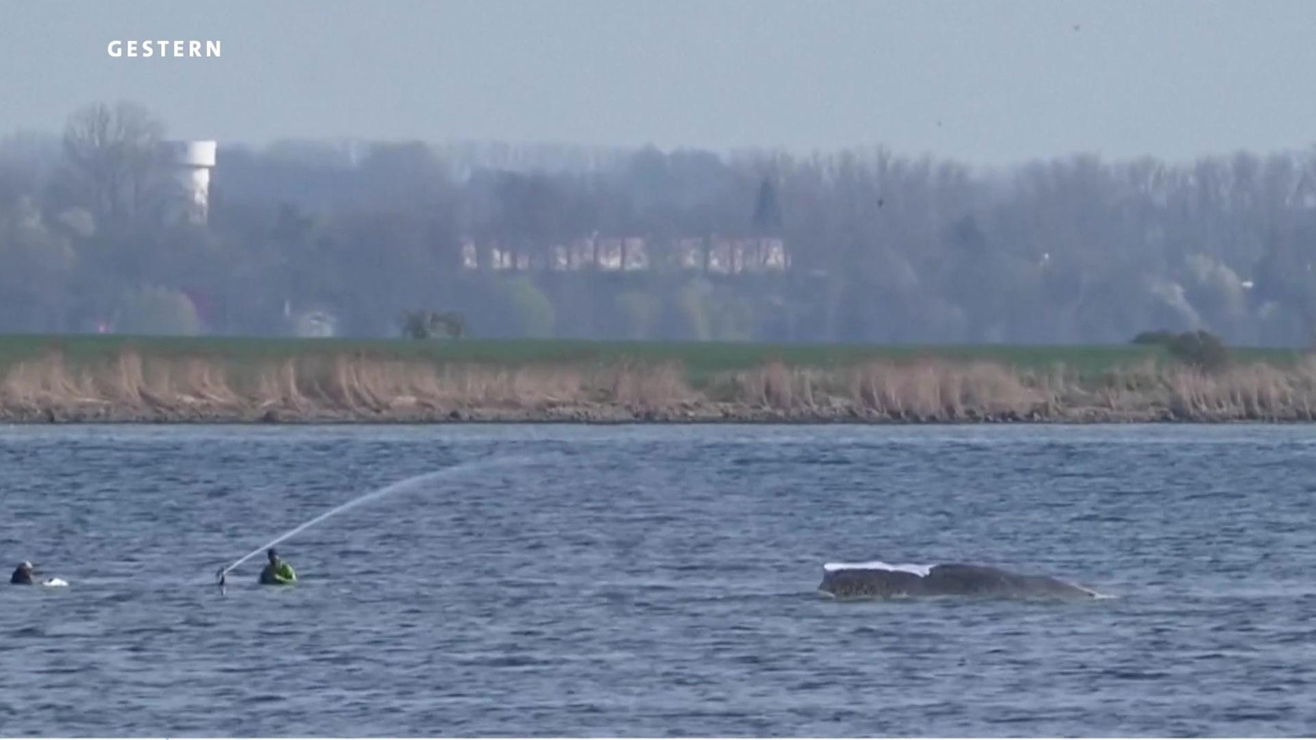 Sendungsbild | ARD-aktuell