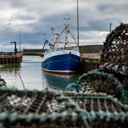 Fischkutter in Kilkeel