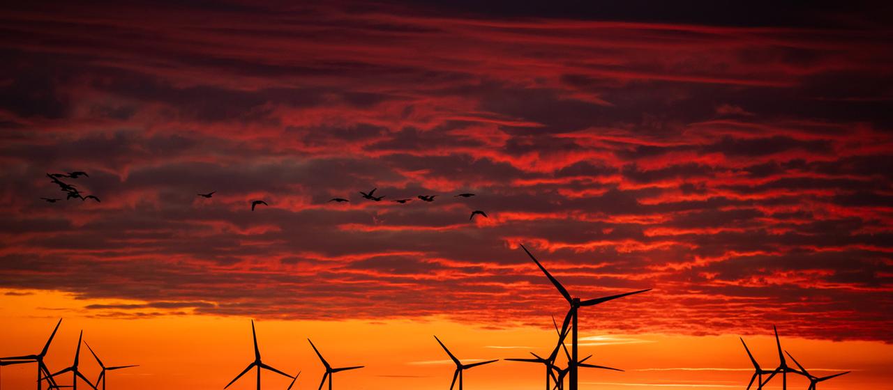 Windkraftanlagen bei Sonnenaufgang in einem Windpark im Sönke-Nissen-Koog an der Nordsee