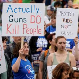Demonstranten in Washington